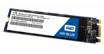 Накопитель SSD WD 1TB SATA M.2 Blue (R545/W525Mb/s, TLC, 6Gb/s, 2280) (WDS100T1B0B)